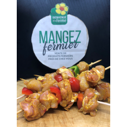 Brochette de poulet au curry