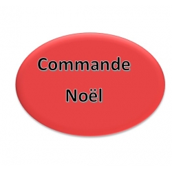 commande Noël déjà effectuée